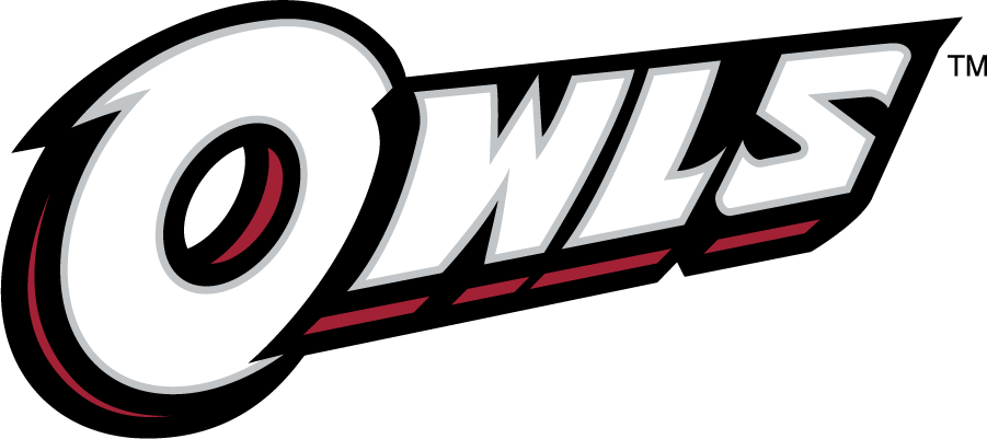 Temple Owls 2014-2020 Wordmark Logo v5 diy DTF decal sticker